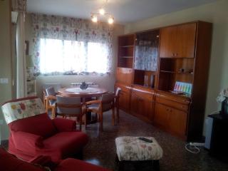 Apartamento Castellon Ref 029 - Castellón de la Plana - 5