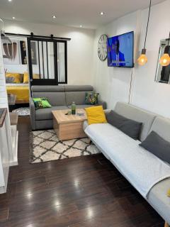 Luxurious, comfortable and bright appartment - Joinville-le-Pont - 7