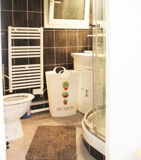 Luxurious, comfortable and bright appartment - Joinville-le-Pont - 6