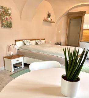 Apartmán Dominikánská - 8