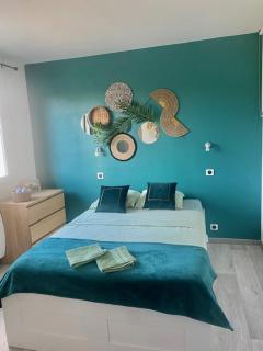 Chambre privée - Appartement lumineux et calme - Albi - 9