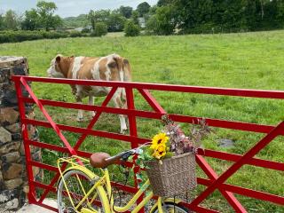 FARM STAY THE GLEBE COTTAGE KILREA - - 1