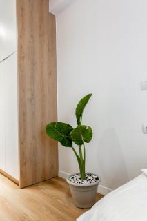 Mato Luxury Apartments - Saranda - 2