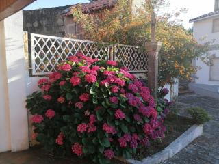 Casa Reboredo - Pontevedra - 1