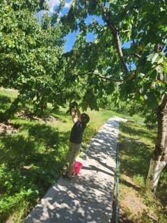 Garni Nature Villa - 4