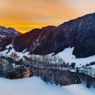 Heidi Chalet Alps - Unique Experience - Authentic Part - Rossinière - 9