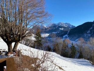 Heidi Chalet Alps - Unique Experience - Authentic Part - Rossinière - 8
