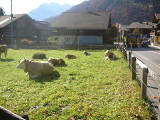 Minutes Walk from Gstaad Center - Great Apartment - Gstaad - 9