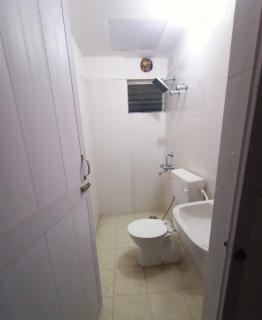 Nest - - 1