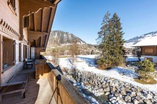 Charming duplex next to ski slopes - Gstaad - 9
