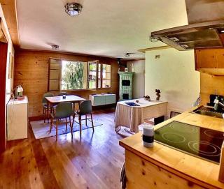Charming duplex next to ski slopes - Gstaad - 2