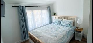 The Prince Albert, Whitton - - 7