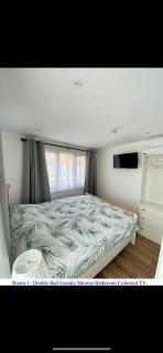 The Prince Albert, Whitton - - 2