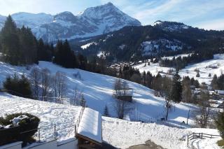 Great luxurious Flat in pitoresque Lauenen village - Gstaad - 9