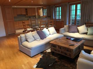 Great luxurious Flat in pitoresque Lauenen village - Gstaad - 7