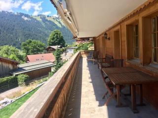 Great luxurious Flat in pitoresque Lauenen village - Gstaad - 2