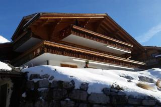 Great luxurious Flat in pitoresque Lauenen village - Gstaad - 0