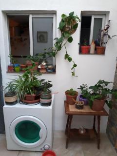 Habitación en apto compartido para una persona - Montevideo - 2