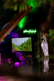 Dynasty Jungle Home Spa Jacuzzi - Holtzheim - 8