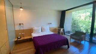 Colmeal Countryside Hotel - Figueira de Castelo Rodrigo - 9