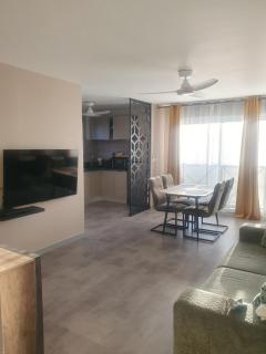 Les jardins de la riviére , cinq minutes à pieds du barachois , très proche du centre ville de Saint denis - 6