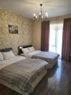 Villa Megobrebi - Bakuriani - 2