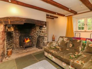 Rose Cottage - Okehampton - 8
