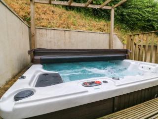 Rose Cottage - Okehampton - 8