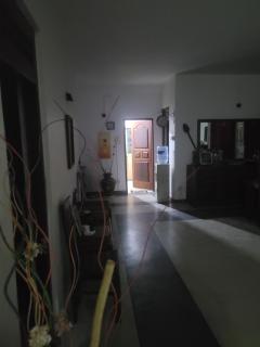 Araliya - 4