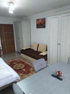 Fully Furnished Studio - Sighetu Marmaţiei - 6
