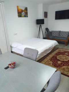 Fully Furnished Studio - 1