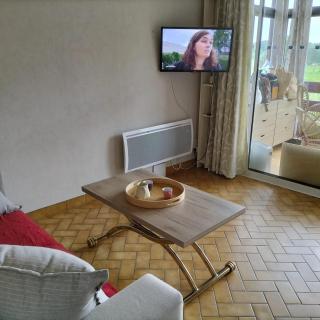 Studio cosy avec terrasse et barbecue à Cazaubon - 28 m² - Cazaubon - 7