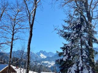 Ferienwohnung Hirschsprung - Obermaiselstein - 8