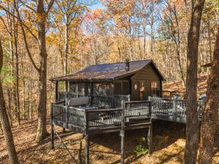 Treetop Getaway - Blue Ridge - 9