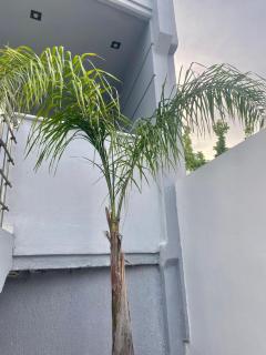 Gardenista in Gerakas city - Atene - 5