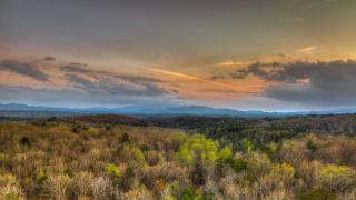 Whiskey Hollow Lodge - Morganton - 9