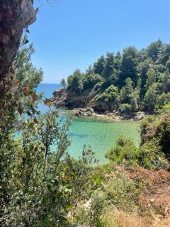 Κατηγιωργης ΞΕΝΩΝΑΣ ΡΕΓΓΙΝΑ 2 - Agios Georgios - 1