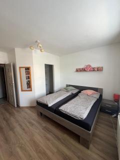 -Self-Check- 4-bedroom family house with heated tub - Levice - 8