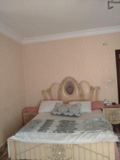Elegant Family apartment - Sheikh Zayed - 4