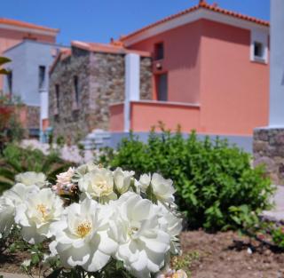 Theofilos Superior Hotel - Petra - 6