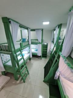 Amazon check in Hostel Manaus Amazonas - Manaus - 1