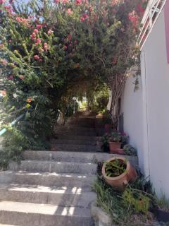 Camelia - Plakias - 8