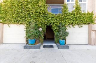 Benjamin - Oceanview - 8