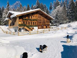 Gstaad - Great Luxurious Farmhouse - Kalberhöni - 9