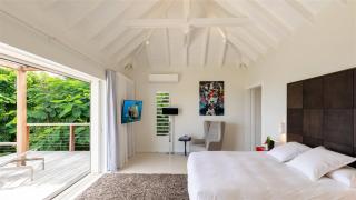 Villa with Light and Soothing Atmosphere - Saint Barthelemy - 2