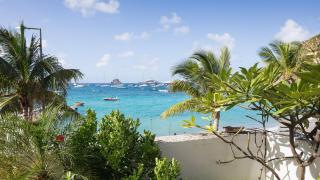 Caribbean Style Villa with Lush Environment - Saint Barthelemy - 0