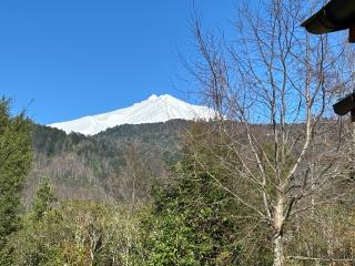 Hostal Quintuman camino a Huilo Huilo - 7