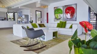 Open-Plan Villa with an Amazing View - Toiny - 5