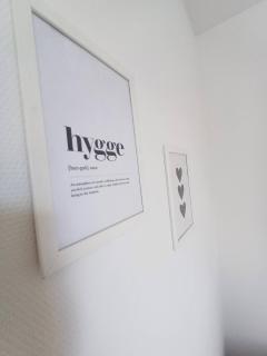 Grand Luxury Apartment In The Center Of Hjoerring - 4