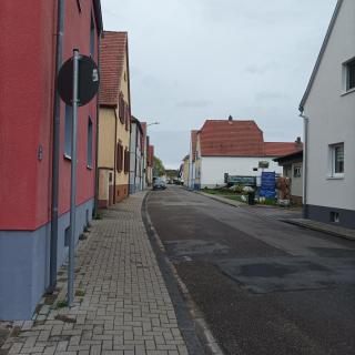 Naturfreunde Speyer 2P, altrheinnahe, hundefreundlich - Römerberg - 2